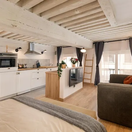 Les Cocon Des Pentes De La Soie Apartment