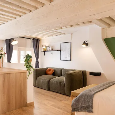 Les Cocon Des Pentes De La Soie Apartment *