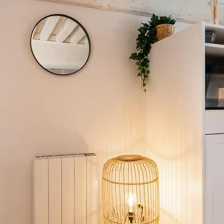 Les Cocon Des Pentes De La Soie